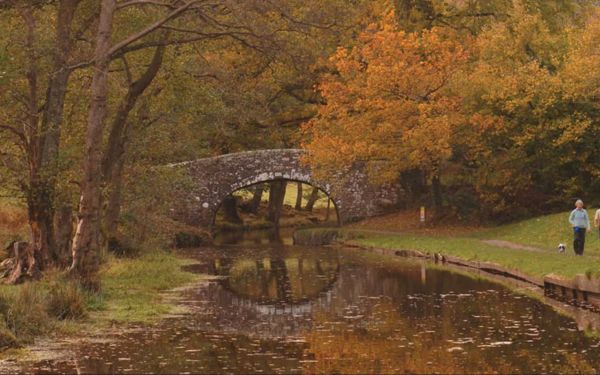 Canal in Autumn